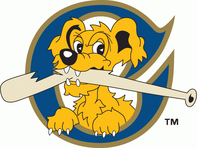 Charleston Riverdogs 1996-2010 Cap Logo iron on paper